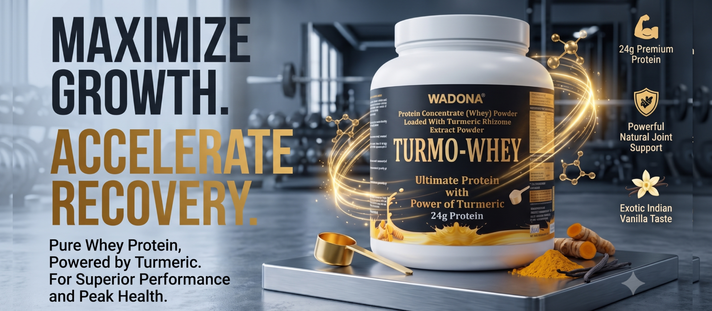 Turmo-Whey Banner Poster GYM